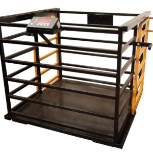 משקל לכבשים