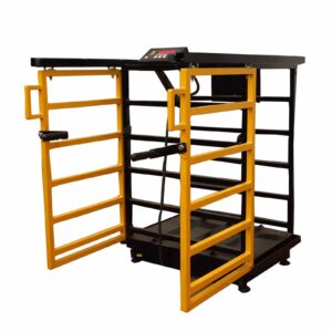 משקל ליונקים